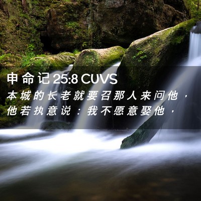 Picture 02 - 申 命 记 25:8 CUVS - 本 城 的 长 老 就 要 召 那 人 来 问 - Bible Verse Picture