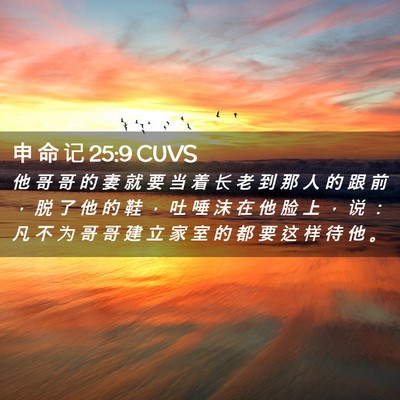Picture 02 - 申 命 记 25:9 CUVS - 他 哥 哥 的 妻 就 要 当 着 长 老 到 - Bible Verse Picture