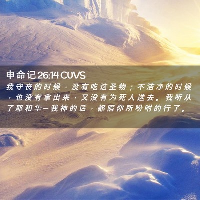 Picture 02 - 申 命 记 26:14 CUVS - 我 守 丧 的 时 候 ， 没 有 吃 这 圣 - Bible Verse Picture