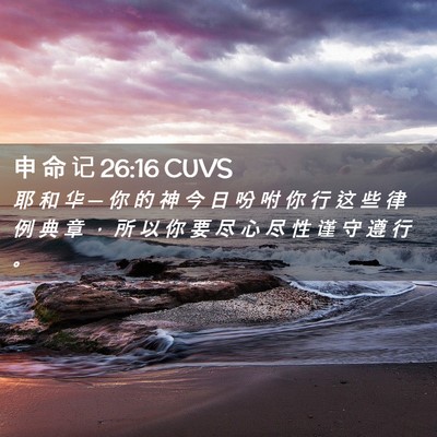 Picture 02 - 申 命 记 26:16 CUVS - 耶 和 华 ─ 你 的 神 今 日 吩 咐 你 - Bible Verse Picture