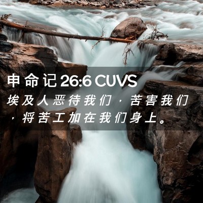 Picture 02 - 申 命 记 26:6 CUVS - 埃 及 人 恶 待 我 们 ， 苦 害 我 们 - Bible Verse Picture