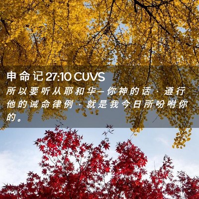 Picture 02 - 申 命 记 27:10 CUVS - 所 以 要 听 从 耶 和 华 ─ 你 神 的 - Bible Verse Picture