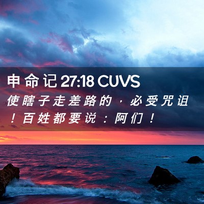 Picture 02 - 申 命 记 27:18 CUVS - 使 瞎 子 走 差 路 的 ， 必 受 咒 诅 - Bible Verse Picture