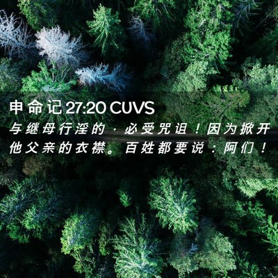 Picture 02 - 申 命 记 27:20 CUVS - 与 继 母 行 淫 的 ， 必 受 咒 诅 ！ - Bible Verse Picture