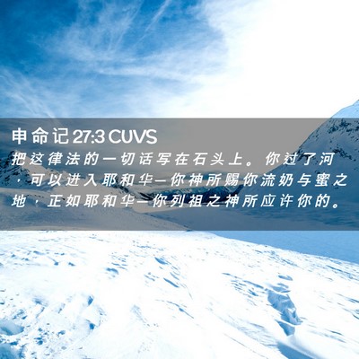 Picture 02 - 申 命 记 27:3 CUVS - 把 这 律 法 的 一 切 话 写 在 石 头 - Bible Verse Picture