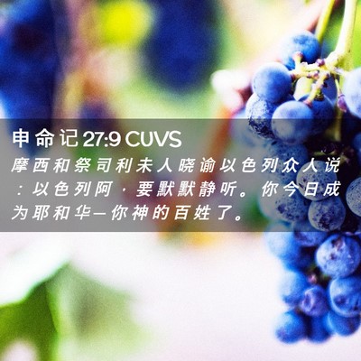 Picture 02 - 申 命 记 27:9 CUVS - 摩 西 和 祭 司 利 未 人 晓 谕 以 色 - Bible Verse Picture