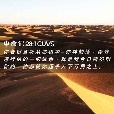 Picture 02 - 申 命 记 28:1 CUVS - 你 若 留 意 听 从 耶 和 华 ─ 你 神 - Bible Verse Picture