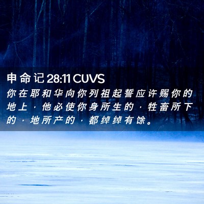 Picture 02 - 申 命 记 28:11 CUVS - 你 在 耶 和 华 向 你 列 祖 起 誓 应 - Bible Verse Picture