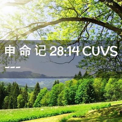 Picture 02 - 申 命 记 28:14 CUVS -  - Bible Verse Picture