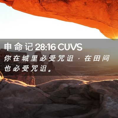 Picture 02 - 申 命 记 28:16 CUVS - 你 在 城 里 必 受 咒 诅 ， 在 田 间 - Bible Verse Picture