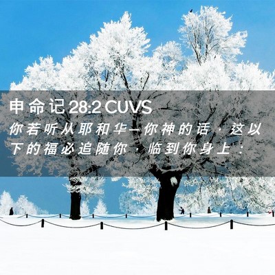 Picture 02 - 申 命 记 28:2 CUVS - 你 若 听 从 耶 和 华 ─ 你 神 的 话 - Bible Verse Picture