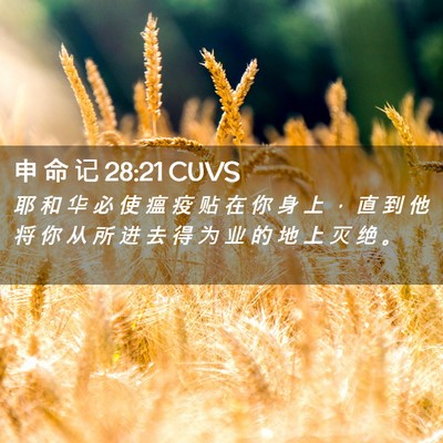Picture 02 - 申 命 记 28:21 CUVS - 耶 和 华 必 使 瘟 疫 贴 在 你 身 上 - Bible Verse Picture