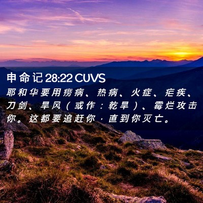 Picture 02 - 申 命 记 28:22 CUVS - 耶 和 华 要 用 痨 病 、 热 病 、 火 - Bible Verse Picture