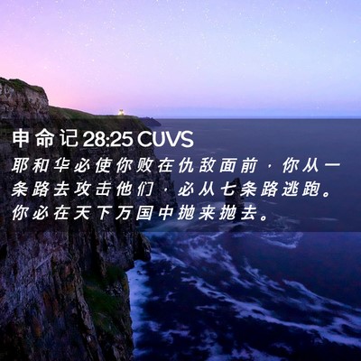 Picture 02 - 申 命 记 28:25 CUVS - 耶 和 华 必 使 你 败 在 仇 敌 面 前 - Bible Verse Picture