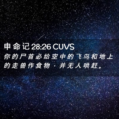 Picture 02 - 申 命 记 28:26 CUVS - 你 的 尸 首 必 给 空 中 的 飞 鸟 和 - Bible Verse Picture