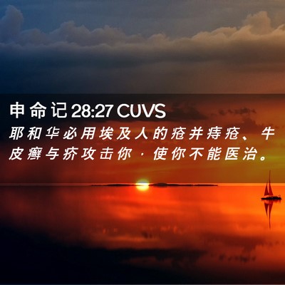 Picture 02 - 申 命 记 28:27 CUVS - 耶 和 华 必 用 埃 及 人 的 疮 并 痔 - Bible Verse Picture