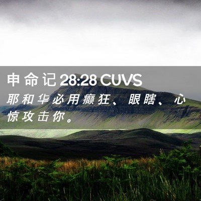 Picture 02 - 申 命 记 28:28 CUVS - 耶 和 华 必 用 癫 狂 、 眼 瞎 、 心 - Bible Verse Picture