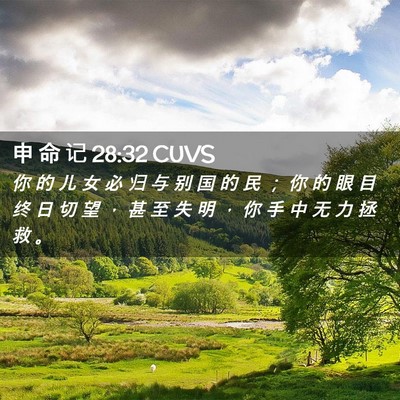 Picture 02 - 申 命 记 28:32 CUVS - 你 的 儿 女 必 归 与 别 国 的 民 ； - Bible Verse Picture