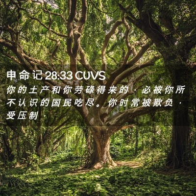 Picture 02 - 申 命 记 28:33 CUVS - 你 的 土 产 和 你 劳 碌 得 来 的 ， - Bible Verse Picture