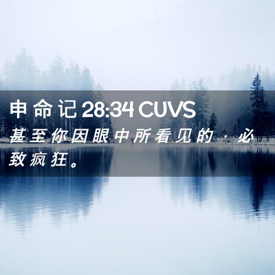 Picture 02 - 申 命 记 28:34 CUVS - 甚 至 你 因 眼 中 所 看 见 的 ， 必 - Bible Verse Picture