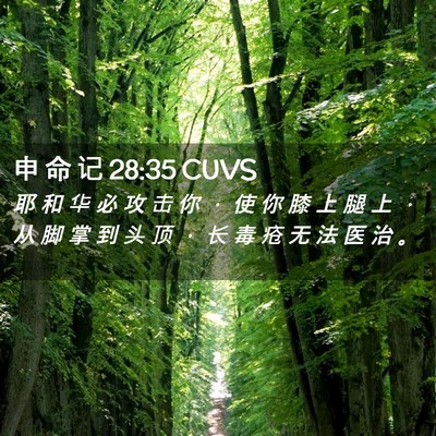 Picture 02 - 申 命 记 28:35 CUVS - 耶 和 华 必 攻 击 你 ， 使 你 膝 上 - Bible Verse Picture