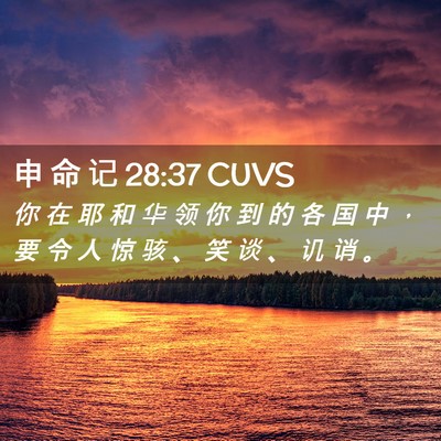 Picture 02 - 申 命 记 28:37 CUVS - 你 在 耶 和 华 领 你 到 的 各 国 中 - Bible Verse Picture