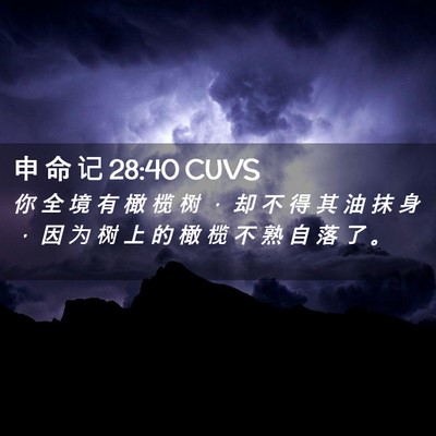Picture 02 - 申 命 记 28:40 CUVS - 你 全 境 有 橄 榄 树 ， 却 不 得 其 - Bible Verse Picture
