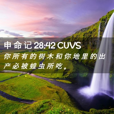 Picture 02 - 申 命 记 28:42 CUVS - 你 所 有 的 树 木 和 你 地 里 的 出 - Bible Verse Picture