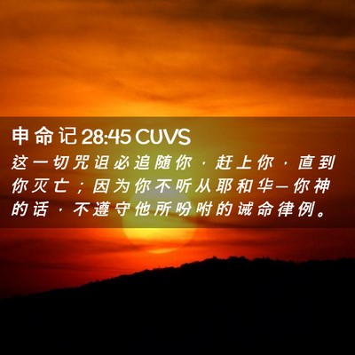 Picture 02 - 申 命 记 28:45 CUVS - 这 一 切 咒 诅 必 追 随 你 ， 赶 上 - Bible Verse Picture