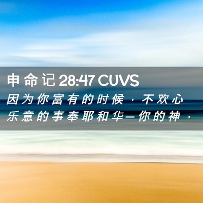 Picture 02 - 申 命 记 28:47 CUVS - 因 为 你 富 有 的 时 候 ， 不 欢 心 - Bible Verse Picture