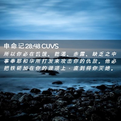 Picture 02 - 申 命 记 28:48 CUVS - 所 以 你 必 在 饥 饿 、 乾 渴 、 赤 - Bible Verse Picture