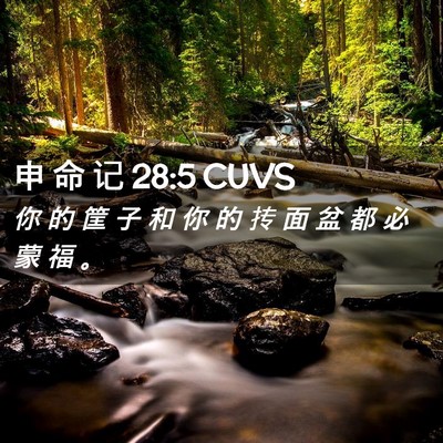 Picture 02 - 申 命 记 28:5 CUVS - 你 的 筐 子 和 你 的 抟 面 盆 都 必 - Bible Verse Picture