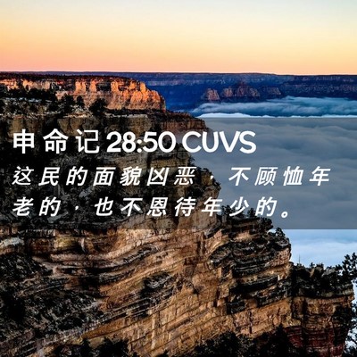 Picture 02 - 申 命 记 28:50 CUVS - 这 民 的 面 貌 凶 恶 ， 不 顾 恤 年 - Bible Verse Picture