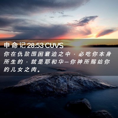 Picture 02 - 申 命 记 28:53 CUVS - 你 在 仇 敌 围 困 窘 迫 之 中 ， 必 - Bible Verse Picture