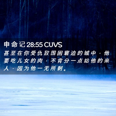 Picture 02 - 申 命 记 28:55 CUVS - 甚 至 在 你 受 仇 敌 围 困 窘 迫 的 - Bible Verse Picture