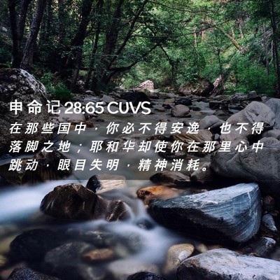 Picture 02 - 申 命 记 28:65 CUVS - 在 那 些 国 中 ， 你 必 不 得 安 逸 - Bible Verse Picture