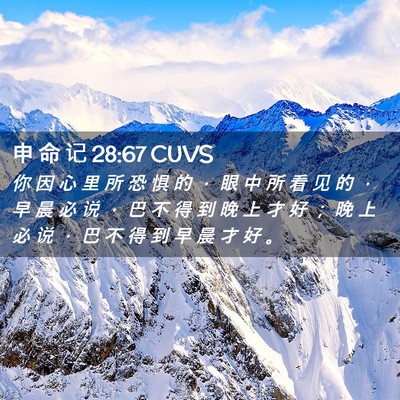 Picture 02 - 申 命 记 28:67 CUVS - 你 因 心 里 所 恐 惧 的 ， 眼 中 所 - Bible Verse Picture