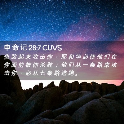 Picture 02 - 申 命 记 28:7 CUVS - 仇 敌 起 来 攻 击 你 ， 耶 和 华 必 - Bible Verse Picture