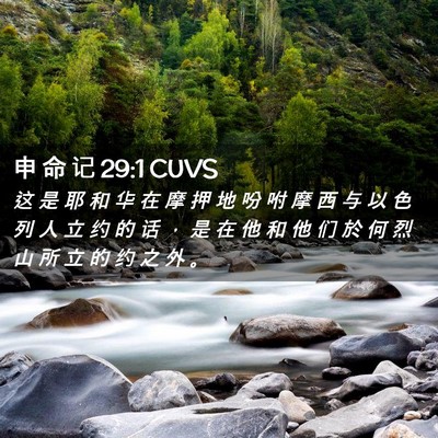 Picture 02 - 申 命 记 29:1 CUVS - 这 是 耶 和 华 在 摩 押 地 吩 咐 摩 - Bible Verse Picture
