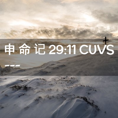 Picture 02 - 申 命 记 29:11 CUVS -  - Bible Verse Picture