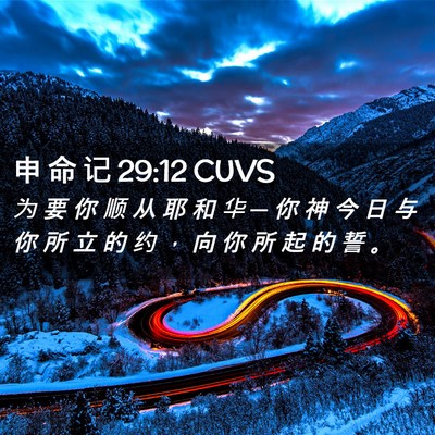 Picture 02 - 申 命 记 29:12 CUVS - 为 要 你 顺 从 耶 和 华 ─ 你 神 今 - Bible Verse Picture