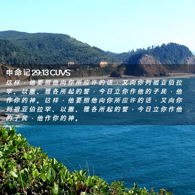 Picture 02 - 申 命 记 29:13 CUVS - 这 样 ， 他 要 照 他 向 你 所 应 许 - Bible Verse Picture