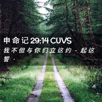 Picture 02 - 申 命 记 29:14 CUVS - 我 不 但 与 你 们 立 这 约 ， 起 这 - Bible Verse Picture