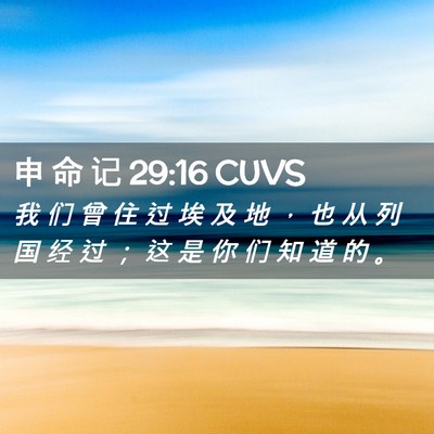 Picture 02 - 申 命 记 29:16 CUVS - 我 们 曾 住 过 埃 及 地 ， 也 从 列 - Bible Verse Picture