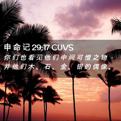 Picture 02 - 申 命 记 29:17 CUVS - 你 们 也 看 见 他 们 中 间 可 憎 之 - Bible Verse Picture