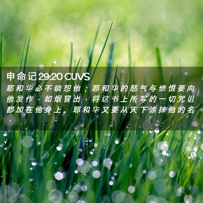 Picture 02 - 申 命 记 29:20 CUVS - 耶 和 华 必 不 饶 恕 他 ； 耶 和 华 - Bible Verse Picture