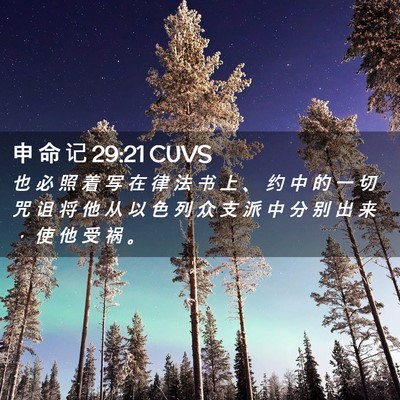 Picture 02 - 申 命 记 29:21 CUVS - 也 必 照 着 写 在 律 法 书 上 、 约 - Bible Verse Picture