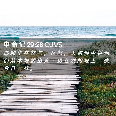 Picture 02 - 申 命 记 29:28 CUVS - 耶 和 华 在 怒 气 、 忿 怒 、 大 恼 - Bible Verse Picture