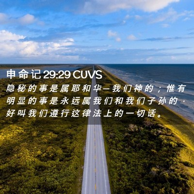Picture 02 - 申 命 记 29:29 CUVS - 隐 秘 的 事 是 属 耶 和 华 ─ 我 们 - Bible Verse Picture