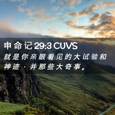 Picture 02 - 申 命 记 29:3 CUVS - 就 是 你 亲 眼 看 见 的 大 试 验 和 - Bible Verse Picture